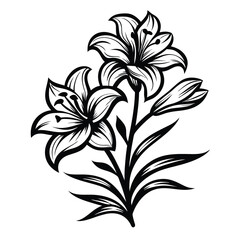 Decorative Lily Flowers Blooming Arrangement | Botanical Black and White Line Art Design