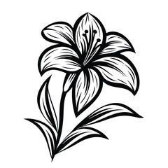 Elegant Black and White Lily with Detailed Stem and Leaves Design