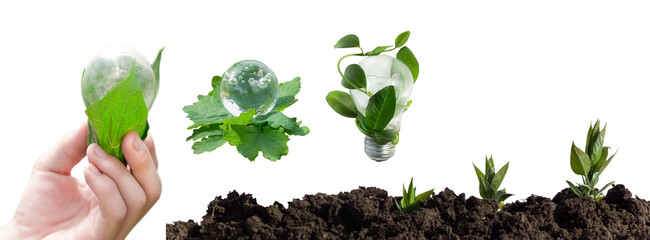 set isolated Light bulb green leaves in hand, glass ball, light bulb, earth with sprouts, growth. ESG environmental concept, ecology sustainable environment of the world. Eco-friendly green business