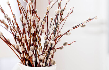 Religion. Palm Sunday. A bouquet of willow twigs for the Orthodox holiday. Willow in a white jug in...