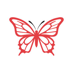 Obraz premium butterfly on white background