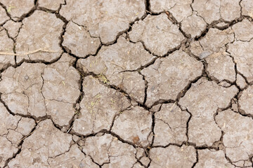 Drought field textured patten. Selective focus on dry field.