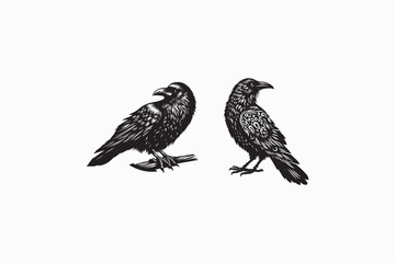 A Common Raven bird vector silhouette black and white image made by adobe illustrator. eps