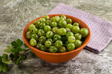 Ripe sweeet and juicy gooseberry