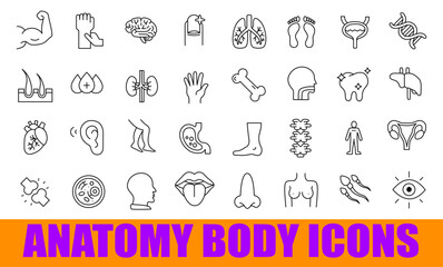 Jet Black Human Anatomy Organ Icons Set with Heart and Brain for Medical Design Vector Design, Isolated