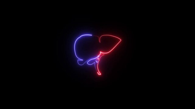 A human Digestion Stomach Royalty Glowing neon liver icon concept . Animation of a Digestion human Stomach in liver on black background. 4k video
