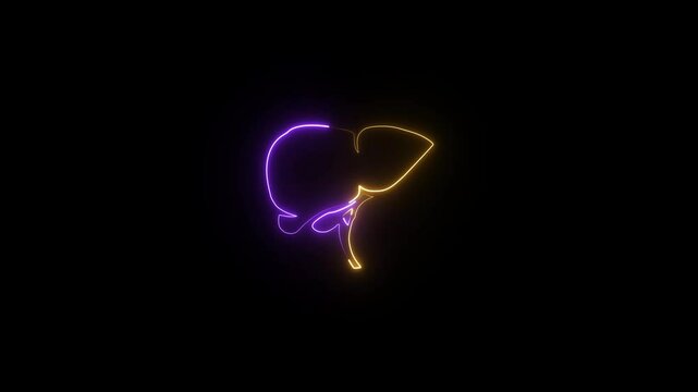 A human Digestion Stomach Royalty Glowing neon liver icon concept . Animation of a Digestion human Stomach in liver on black background. 4k video