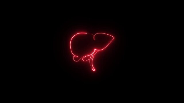 A human Digestion Stomach Royalty Glowing neon liver icon concept . Animation of a Digestion human Stomach in liver on black background. 4k video