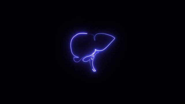 A human Digestion Stomach Royalty Glowing neon liver icon concept . Animation of a Digestion human Stomach in liver on black background. 4k video