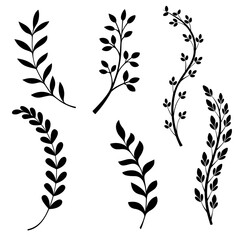 set of vector floral elements