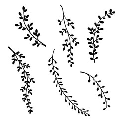 set of vector floral elements