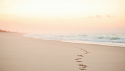 Fototapeta premium beach at sunset