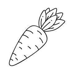 carrot icon, carrot vector illustration-simple illustration of carrot, perfect for carrot logos and icons