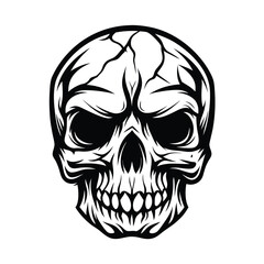 Black and White Skull Illustration, Anatomy Art, Horror Theme, Danger, Death Symbol