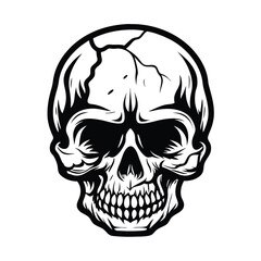 Skull Head, Isolated, Black and White, Human, Bone, Death, Horror, Grunge, Creepy