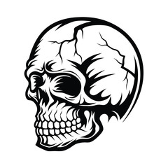 Detailed Black and White Skull with Intricate Line Work and Shadowing