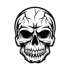 Detailed Skull Illustration, Black and White Skull Design, Anatomical Skull