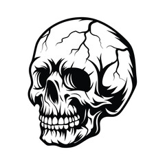 Detailed Skull Black and White Skull Skull Anatomy Outline