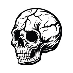 Black & White Skull Detailed Line Art, Anatomy, Isolated, Halloween Vibe