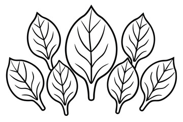 Spinach Leaf Line Art Unique Design for Botanical Art Collection  