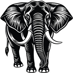 Detailed Black and White of a Majestic African Elephant Walking Forward