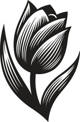Tulip stylized vector