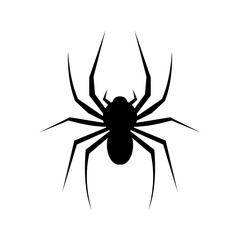 Black spider silhouette, close up spider, isolated scary big spider, poisonous insect, arachnophobia background, spider vector icon	