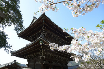 春の清涼寺　仁王門　京都市右京区嵯峨