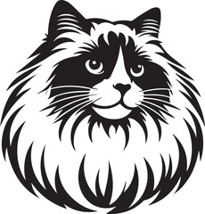 Black and White Ragdoll Cat Vector	