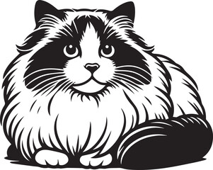 Black and White Ragdoll Cat Vector	