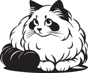 Black and White Ragdoll Cat Vector	