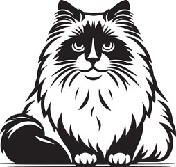 Black and White Ragdoll Cat Vector	