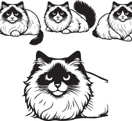 Black and White Ragdoll Cat Vector	