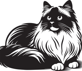 Black and White Ragdoll Cat Vector	
