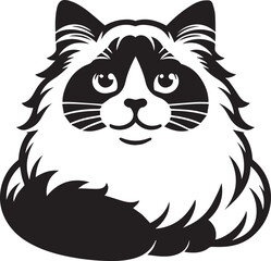 Black and White Ragdoll Cat Vector	