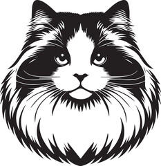 Black and White Ragdoll Cat Vector	
