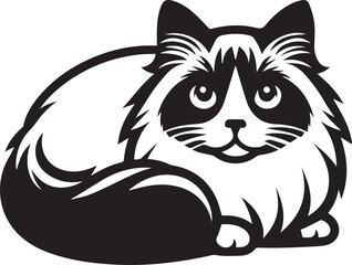 Black and White Ragdoll Cat Vector	