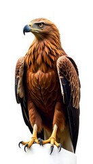 Generative AI Portrait of Majestic Golden Eagle with Detailed Plumage