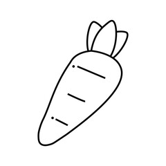 carrot icon on white background
