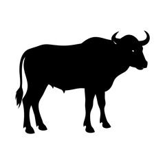 buffalo icon, buffalo line art - simple line art of buffalo, perfect for buffalo logos and icons