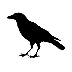 Obraz premium crow icon, crow line art - simple line art of crow, perfect for crow logos and icons