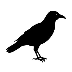 crow icon, crow line art - simple line art of crow, perfect for crow logos and icons