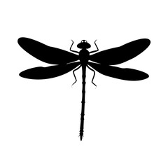 dragonfly icon, dragonfly line art - simple line art of dragonfly, perfect for dragonfly logos and icons