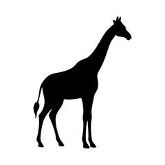 Obraz premium giraffe icon, giraffe line art - simple line art of giraffe, perfect for giraffe logos and icons