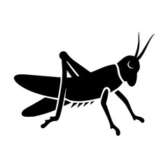 grasshopper icon, grasshopper line art - simple line art of grasshopper, perfect for grasshopper logos and icons