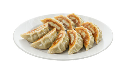 Deliciously steamed dumplings served on white plate with crisp texture and flavorful filling ideal for gastronomic delight