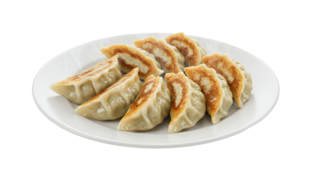 Deliciously steamed dumplings served on white plate with crisp texture and flavorful filling ideal for gastronomic delight