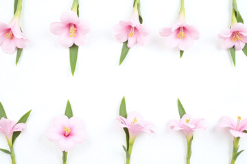 bunch of pink flowers on a white wall
