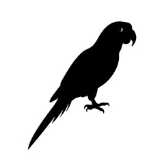 parrot icon, parrot line art - simple line art of parrot, perfect for parrot logos and icons