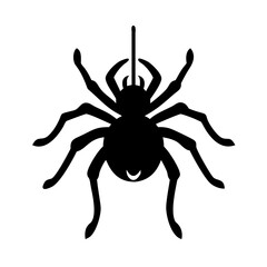 spider icon, spider line art - simple line art of spider, perfect for spider logos and icons
